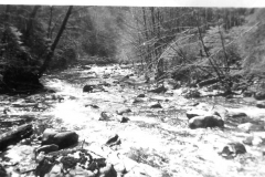 Blue binder photos 025 Sarita River 1948