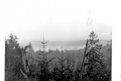 Blue binder photos 084 bluffs above Sproat Lake Greenhalghs Trai