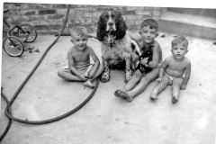 Blue binder photos 158 Mick Paddy Kel Murphy one and Minnie 1956