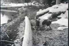 sproat lake old house068