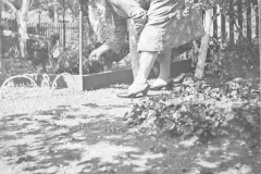 Gray Binder Photos 019 feeding the chickens