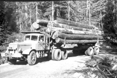 Jacks Album 060 Logging Deep Lake 1952 H-10