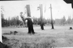 Eileens-photo-album-070-Eileen-on-swing-Newcastle-Isand-1946