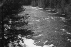 Eileens-photo-album-110-Guessing-Little-Qualicum-River