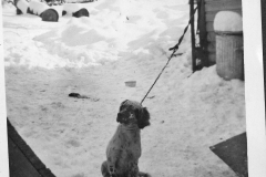 Eileens-photo-album-177-House-2nd-Ave-Port-Alberni-snow-winter-1948