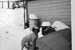 Eileens-photo-album-178-House-2nd-Ave-Port-Alberni-snow-winter-1948