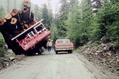 batch 1003 Logging Butler Truck