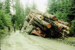 batch 1004 Logging Butler Truck